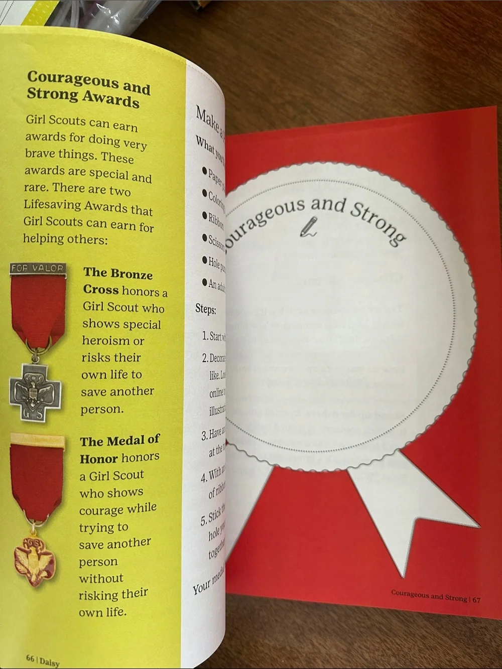 Daisy Handbook - like new, only 2 pages out/used.